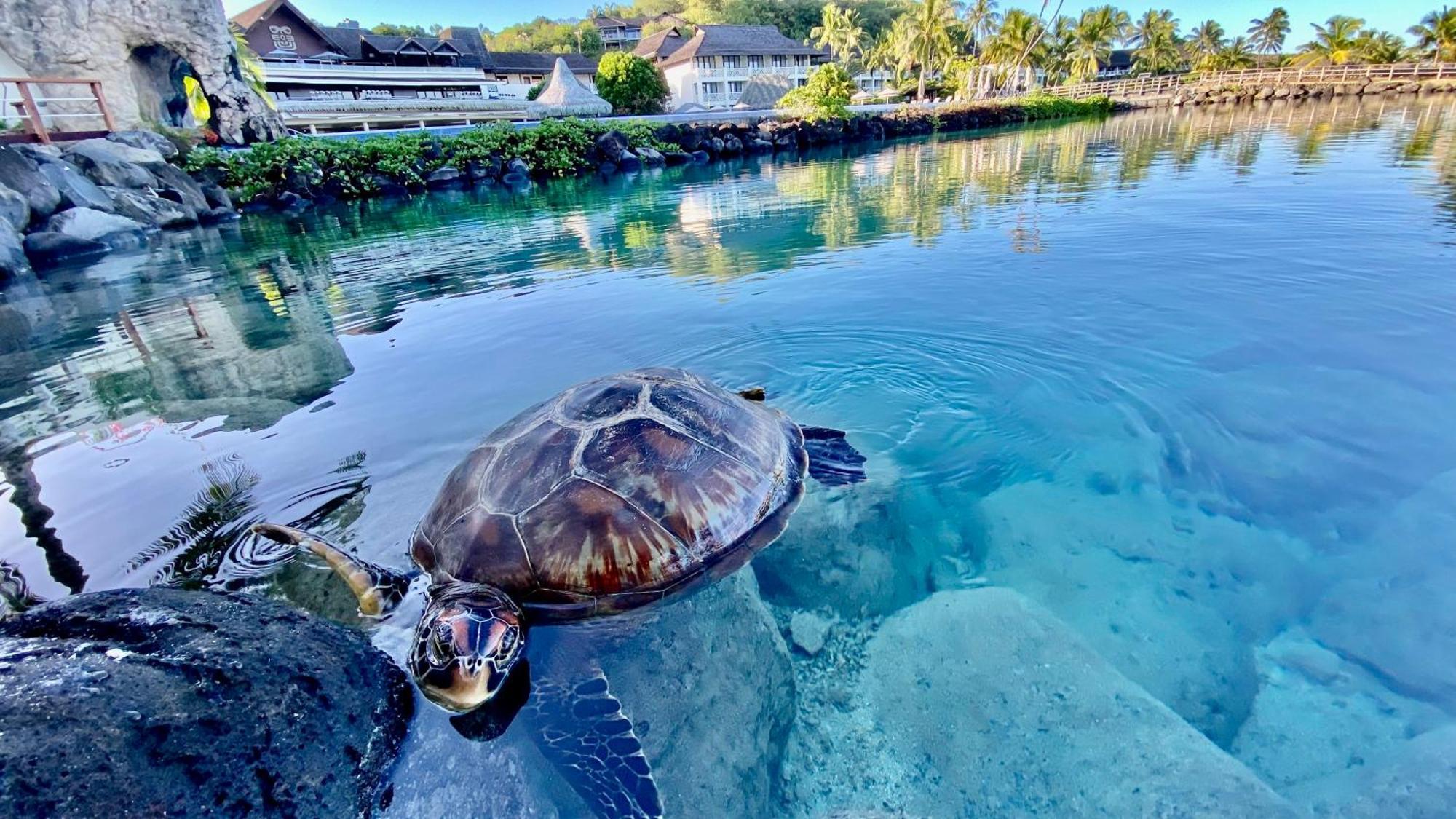 InterContinental Tahiti Resort&Spa, an IHG Hotel Faaa Esterno foto